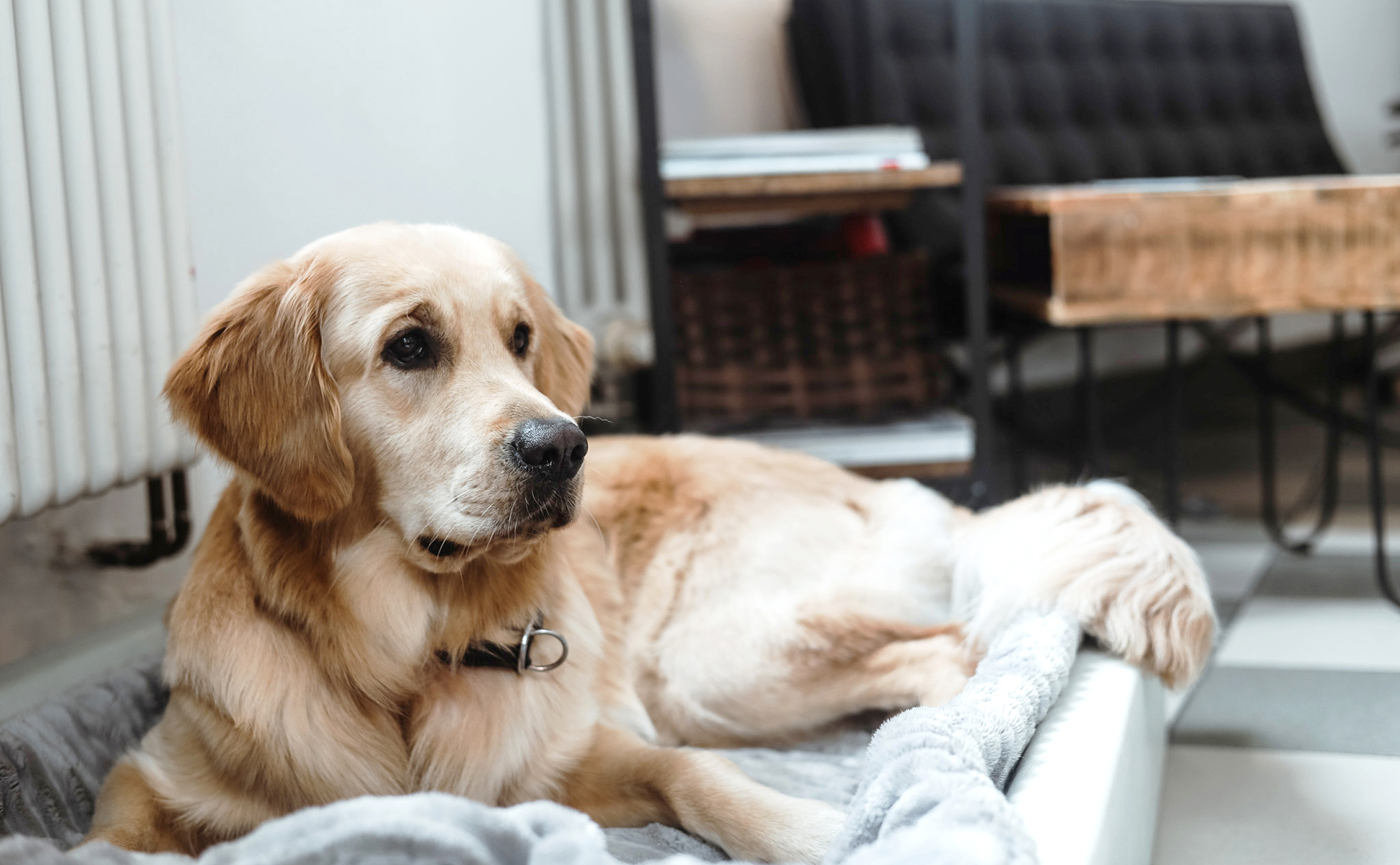 RANNER FRISEUR setzt unter anderem auf Produkte der Marke Davines. Diese sind ästhetisch ansprechend, in Einfachheit und Eleganz nicht vergleichbar und dennoch stets mit hohen moralischen Werten und Verantwortung der Umwelt gegenüber.
